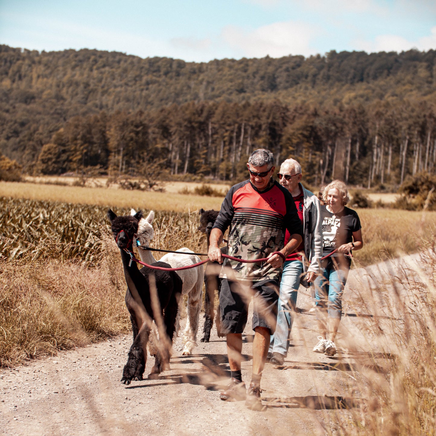 Alpaka Wanderung | 01.11. 10 Uhr