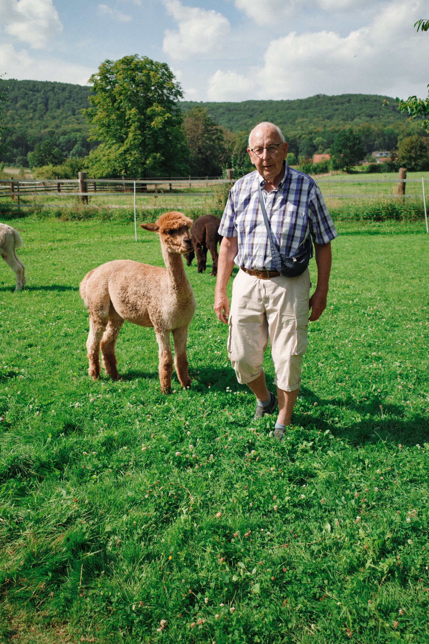 Alpaka Wanderung | 21.06. 10 Uhr