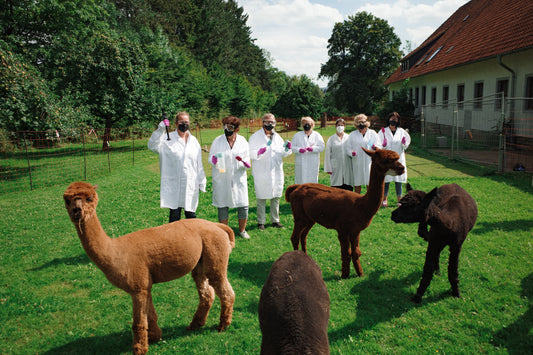 Alpaka-Seifen-Kurs am 23.08.2025 | Erstelle kreative Seifen aus Alpaka-Wolle